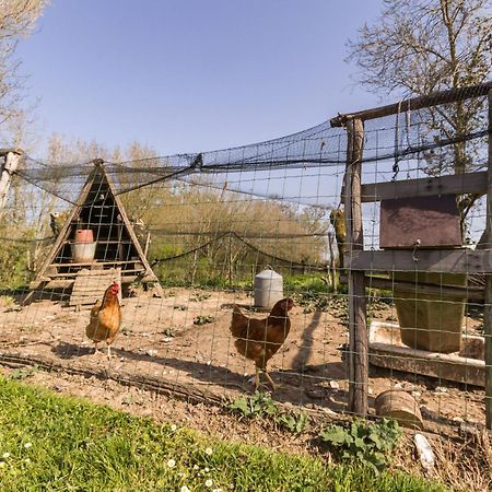 Gite Champetre Renove Avec Terrasse & Equipements, Proche Pornic - Animaux Acceptes - Fr-1-306-1027 Villa Frossay Exteriör bild